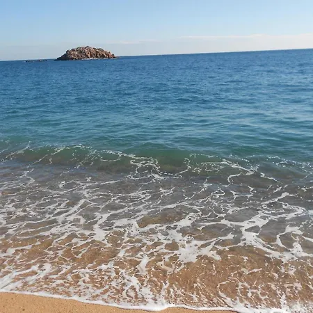 Stunning In With Wifi Tossa de Mar